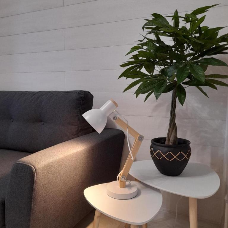 Le cosy d'Amboise - One-Bedroom Apartment - 7