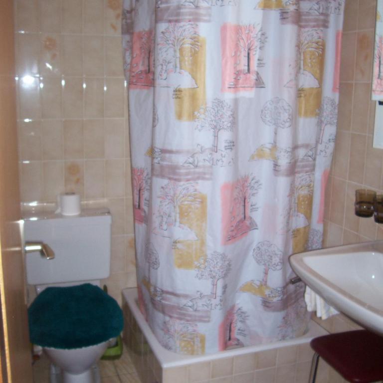 Hôtel du Gd-St-Bernard - Doppelzimmer mit eigenem Bad - 9