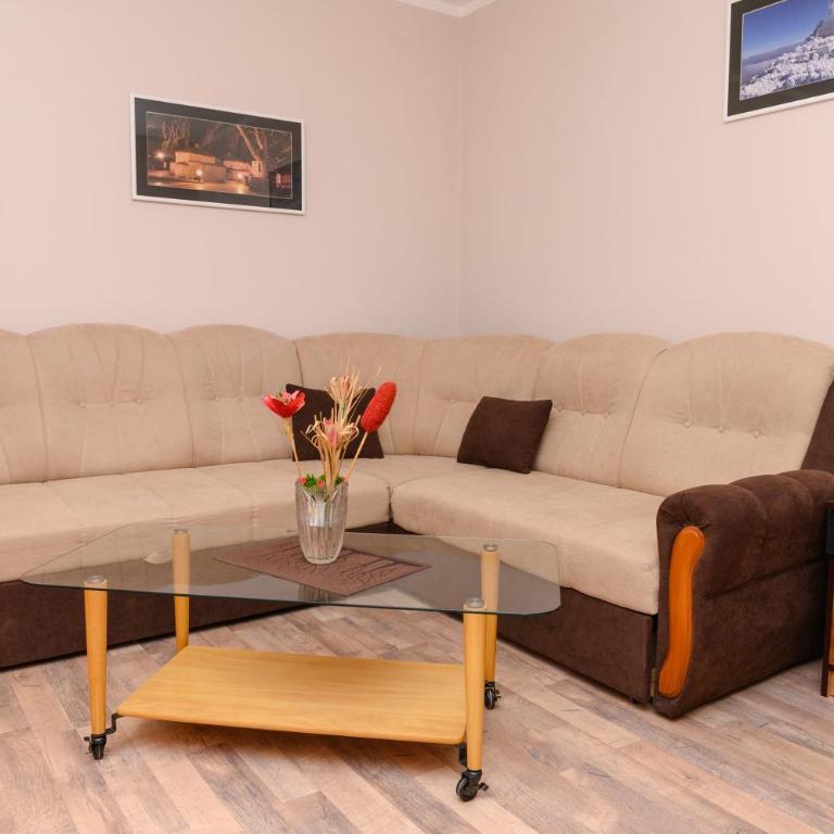 Apartmani Gold Sokobanja - Apartman - 8