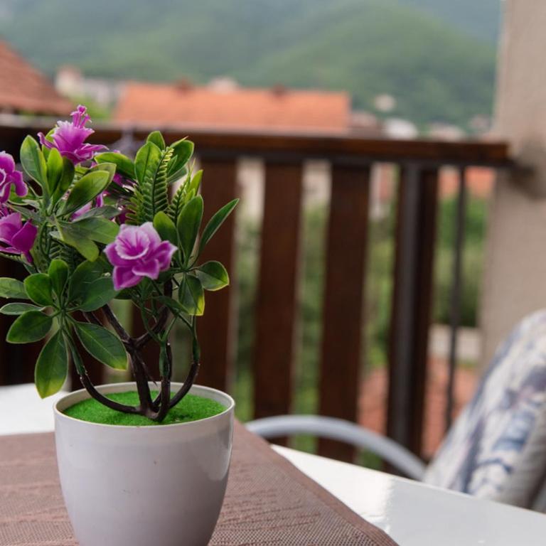 Apartmani Gold Sokobanja - Apartman - 7