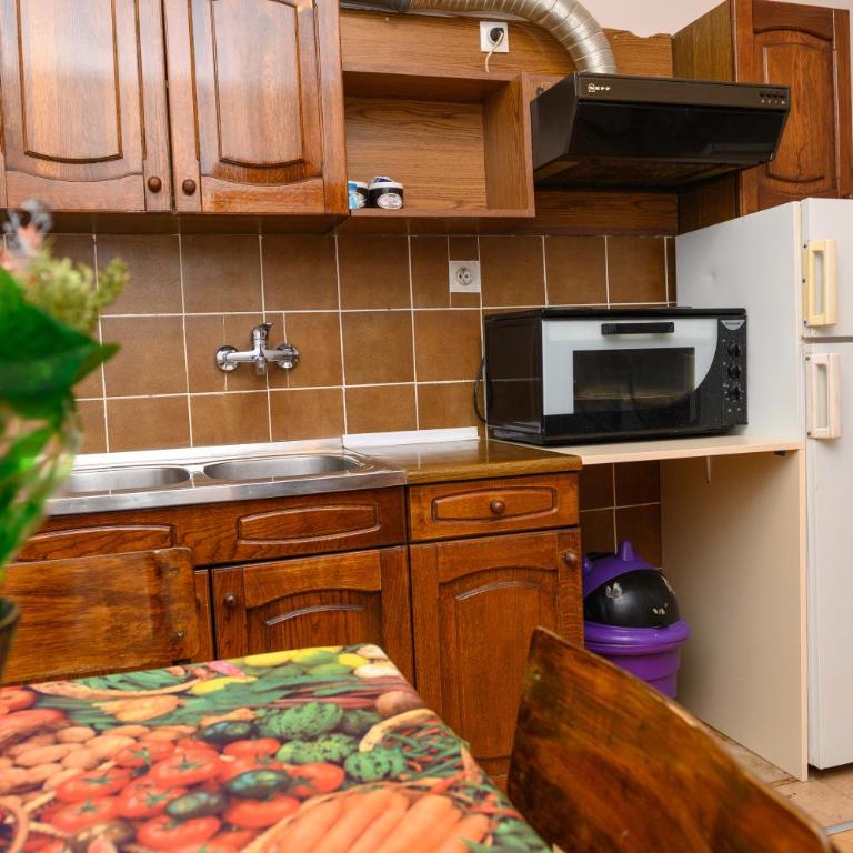 Apartmani Gold Sokobanja - Apartman sa 1 Spavaćom Sobom - 16