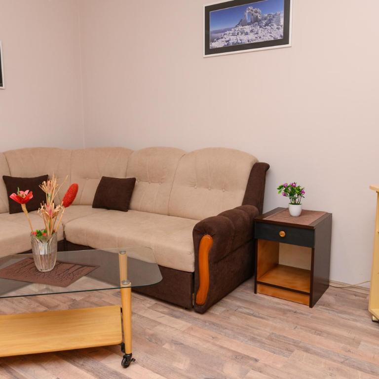 Apartmani Gold Sokobanja - Apartman - 15