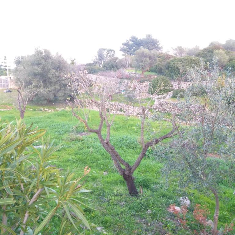 Trullo Innamorato - Two-Bedroom Villa - 67