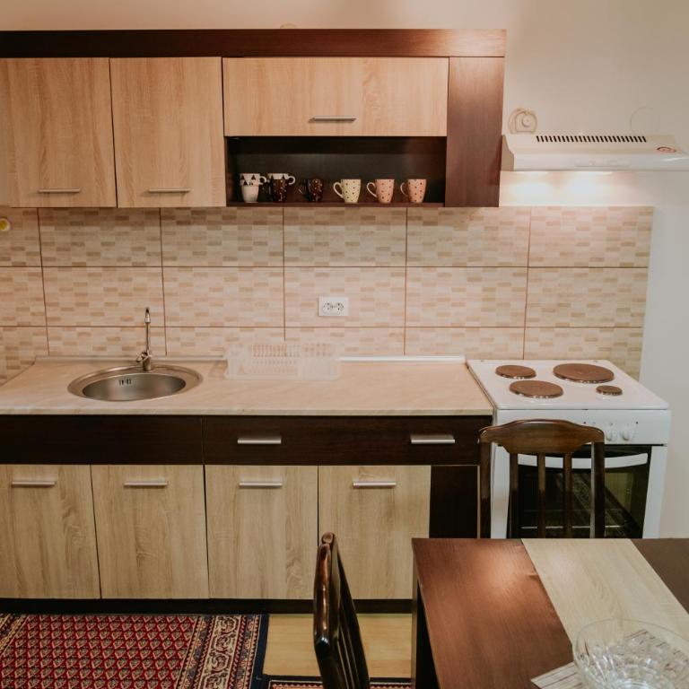 Vila Dinka - Apartman - Prizemlje - 7