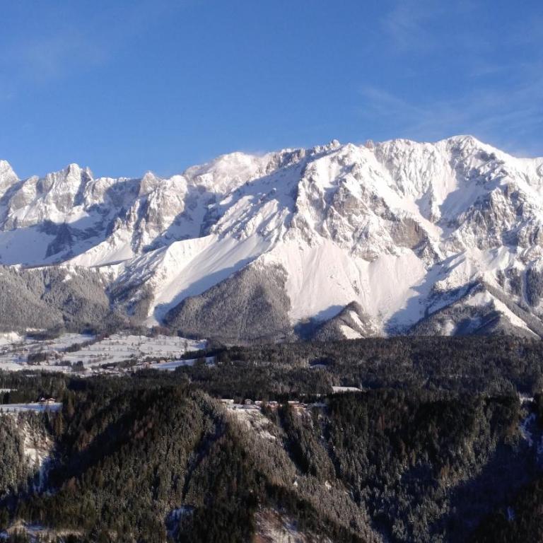 Ferienwohnungen Reinbacher - Primps - Apartment mit Blick auf die Berge - 12
