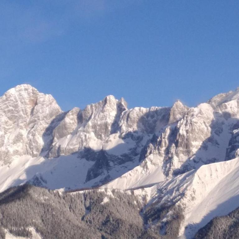 Ferienwohnungen Reinbacher - Primps - Apartment mit Blick auf die Berge - 13