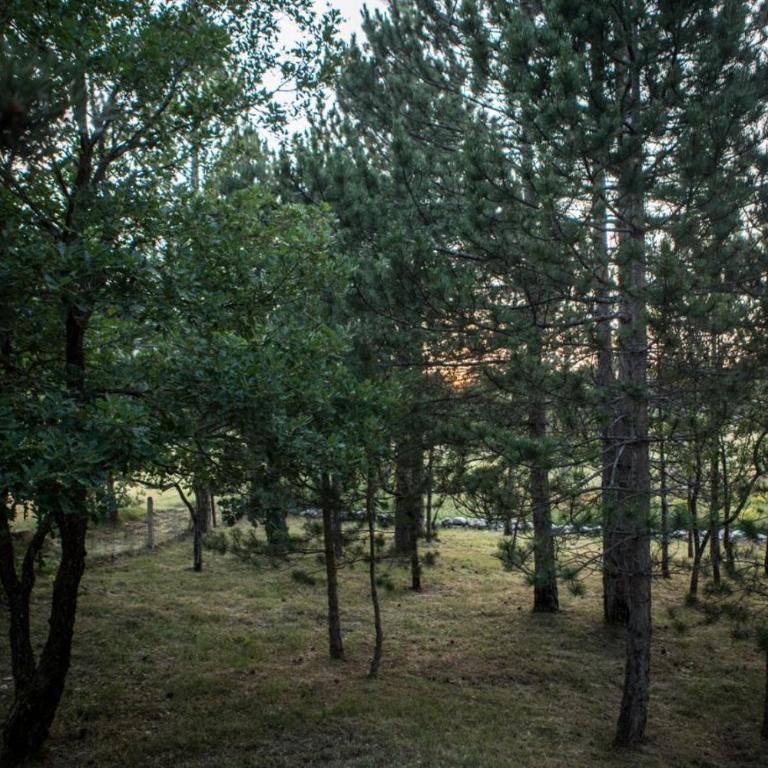Vikendica Galiot - Kuća sa 2 Spavaće Sobe - 21