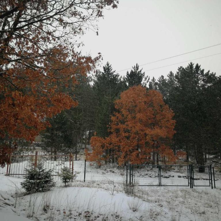 Vikendica Galiot - Kuća sa 2 Spavaće Sobe - 23