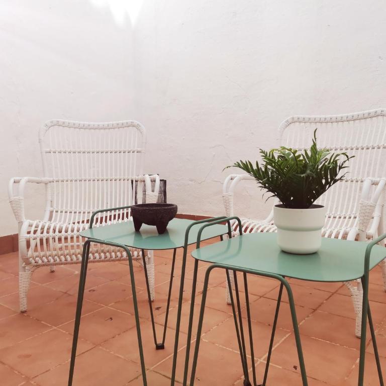 Apartamentos Casapalma Centro Histórico - Apartamento de 1 dormitorio con patio - 7