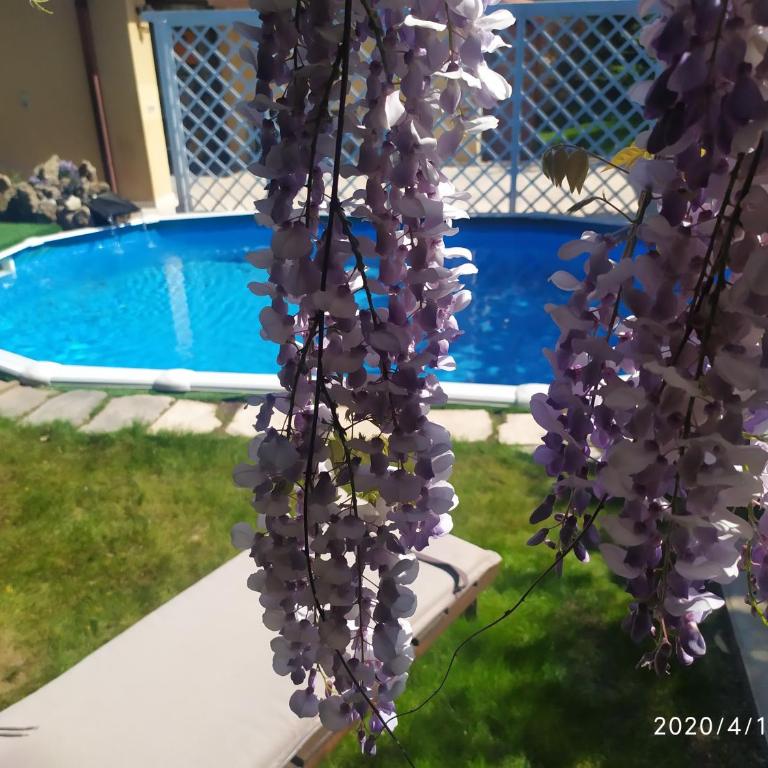 Villa Luna Lombarda - Appartamento Superior - 1