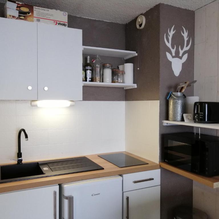 La Godille - Studio Apartment (4 Adults) Pra Loup 1600 - 3