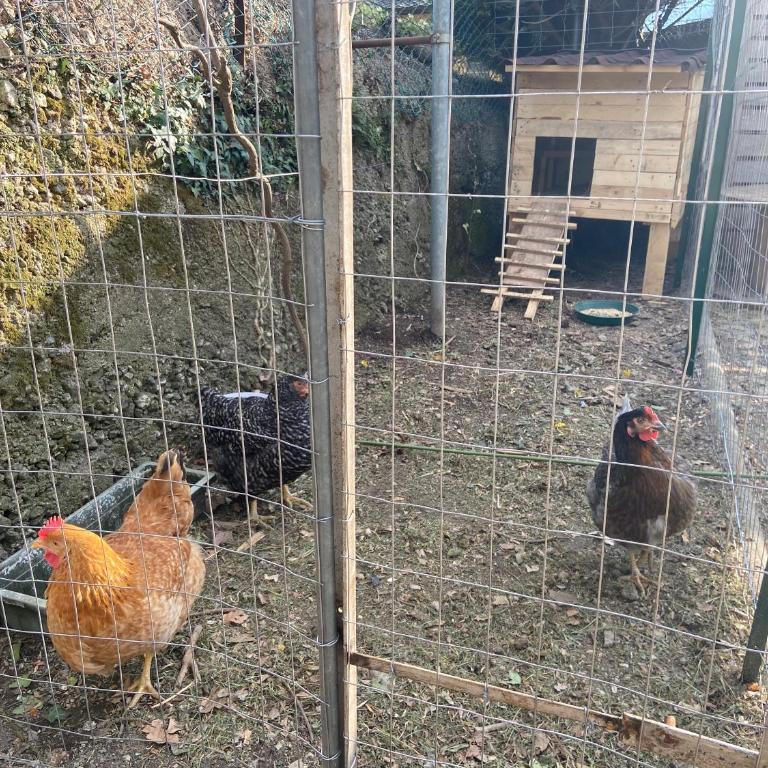 Casa Bosco - Appartamento con 3 Camere da Letto - 19