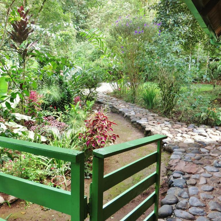 Mindo Eco Chalet con Rio y Cascada - Casa de 3 dormitorios - 25