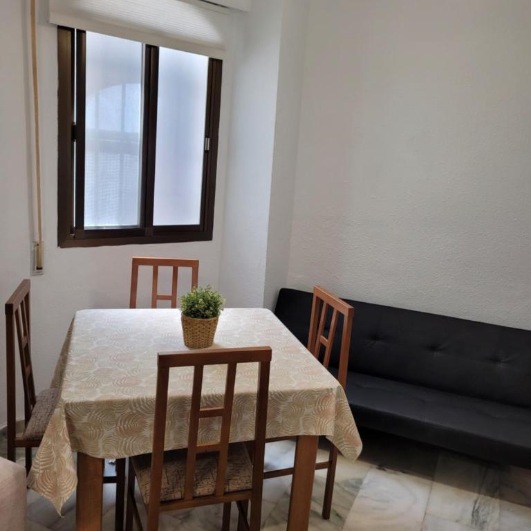Alojamiento Carmen Baja (centro Almuñécar) - Apartamento de 1 dormitorio - 12