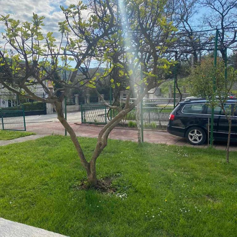 Apartmani Zelenika - One-Bedroom Villa - 5