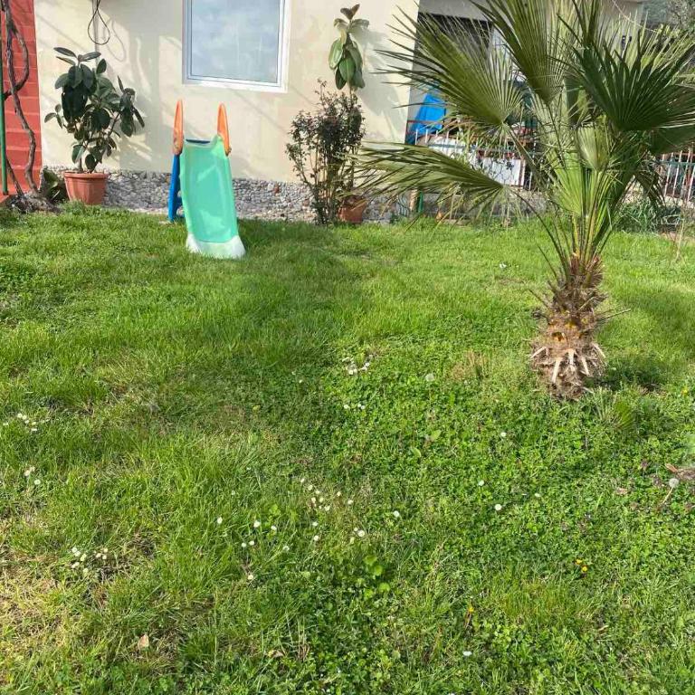 Apartmani Zelenika - Standardna Vila - 2