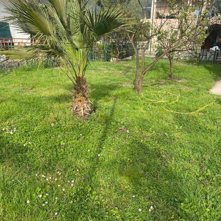 Apartmani Zelenika - Standard Villa - 3