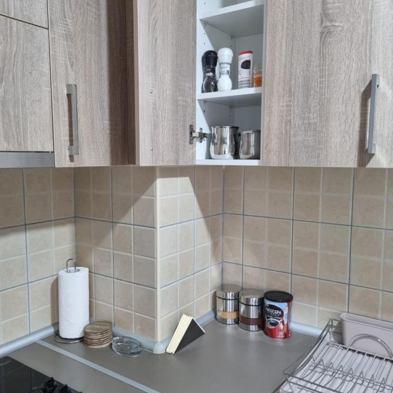 Apartman Ristanovic - Studio Apartman - 8