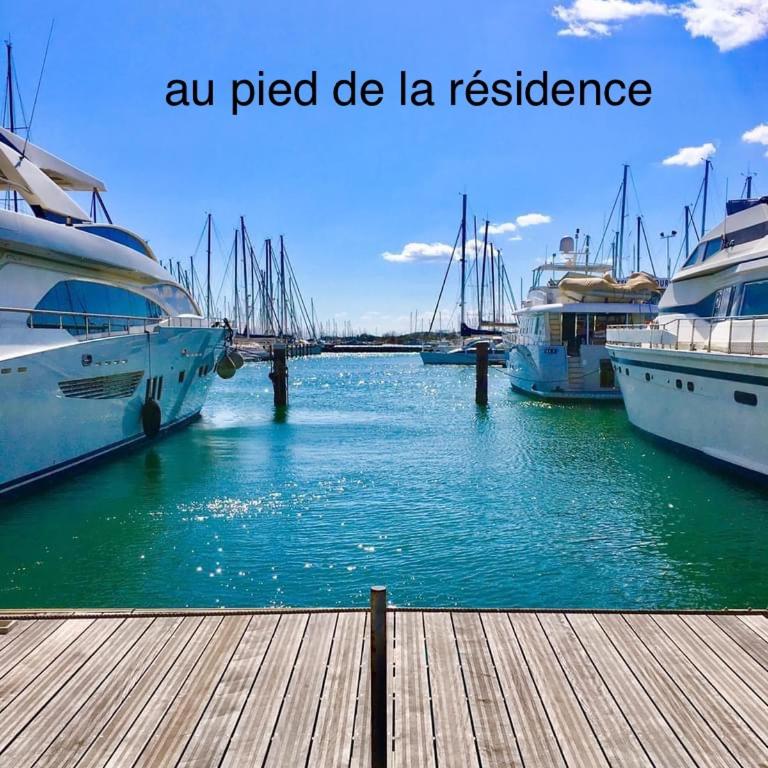 studio la grande roue VUE MAGNIFIQUE - Appartement 1 Chambre - 24