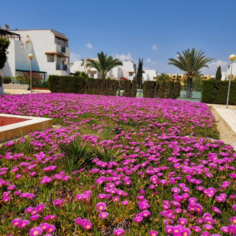 APARTAMENTO en PRIMERA LÍNEA DE VERA PLAYA NATURISTA! - Apartamento de 1 dormitorio - 4