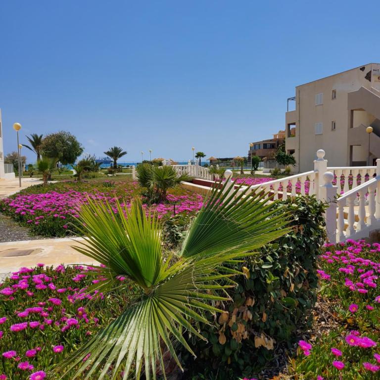 APARTAMENTO en PRIMERA LÍNEA DE VERA PLAYA NATURISTA! - Apartamento de 1 dormitorio - 2