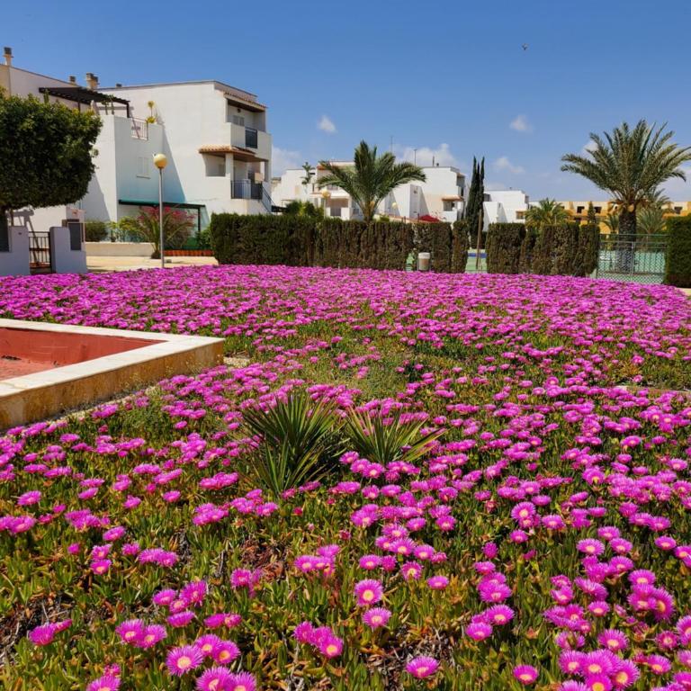 Apartamento Naturista en primera línea en Natura World! - Apartamento de 1 dormitorio - 6