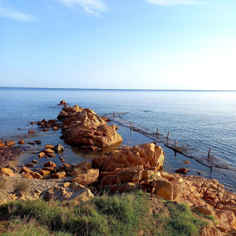 Villa vista pineta - 90 mt dalla spiaggia - Appartamento con Vista Giardino - 83