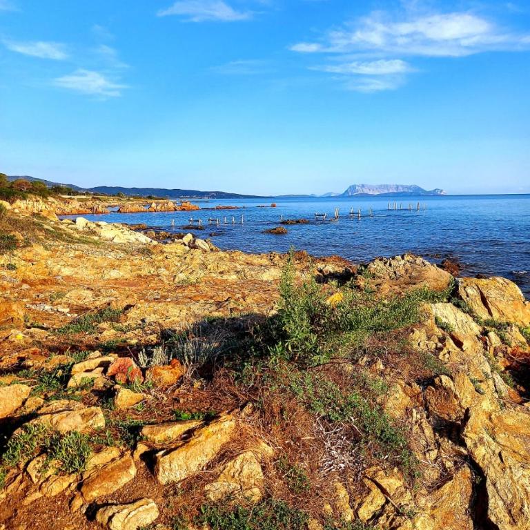 Villa vista pineta - 90 mt dalla spiaggia - Appartamento con Vista Giardino - 82