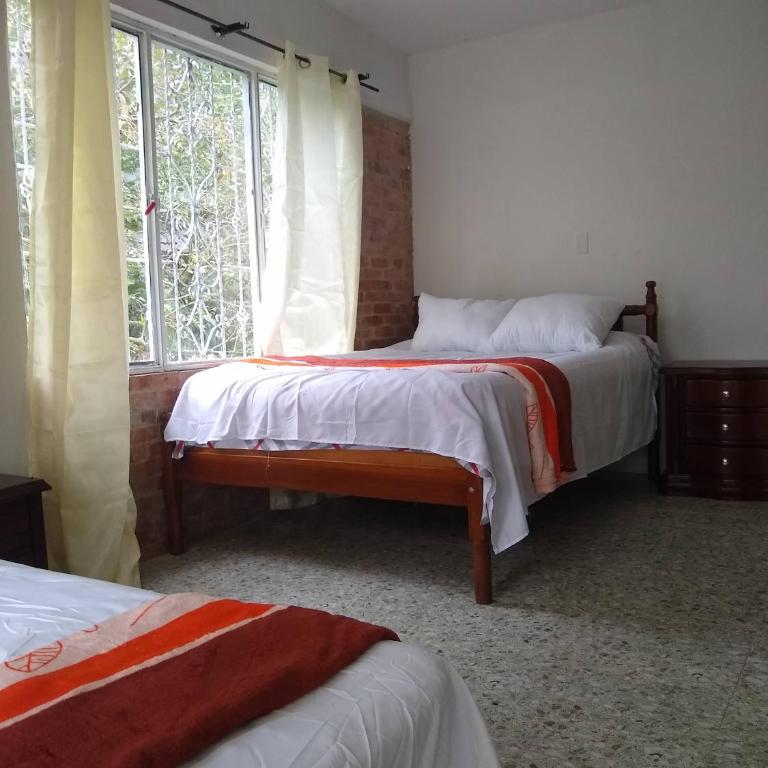Kaliawiri Bird Lodge & reserve - Villa - 5