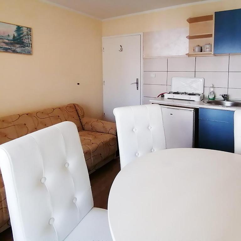 Apartments Petkovic - Apartman sa Terasom - 7