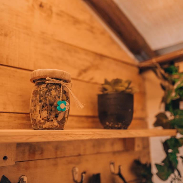 Glamping rio frio Tabio - Tienda - 7
