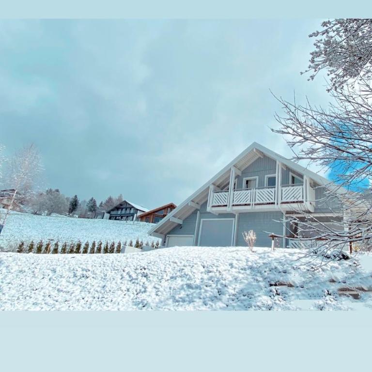 Chalet Le Flocon Bleu - Mauselaine avec vue sur le Lac de Gérardmer - Chalet 3 Chambres - 79