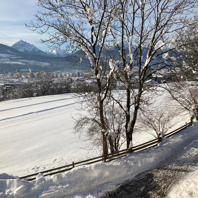 Apartments Karlhof - Appartamento - 5