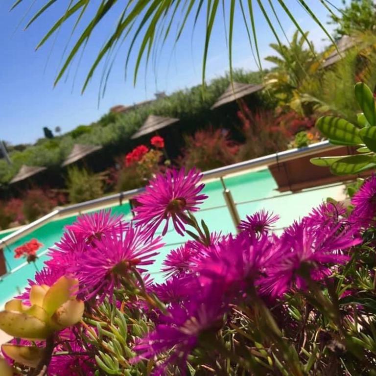 Saija Resort - Deluxe Zimmer (2 Erwachsene & 1 Kind) - 12