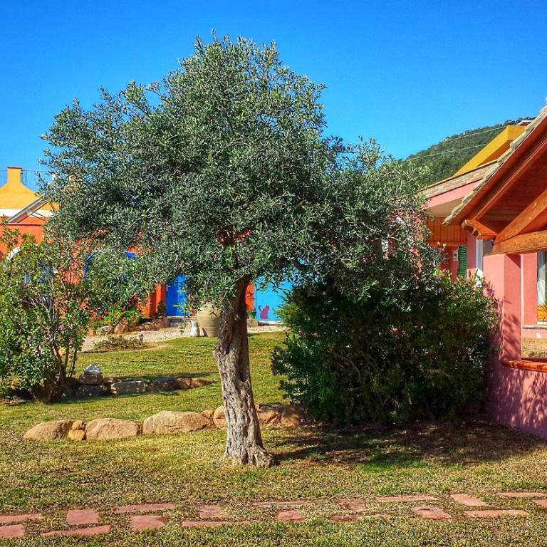 Sole e Sale in Sardegna - Monolocale - 2