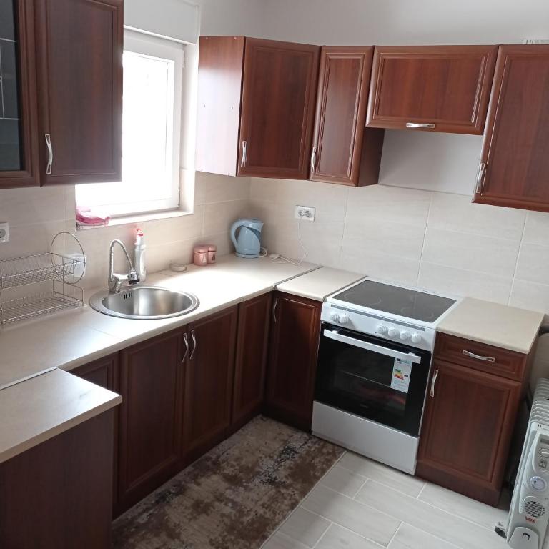 Apartman Svetlana 2 - One-Bedroom Apartment - 5
