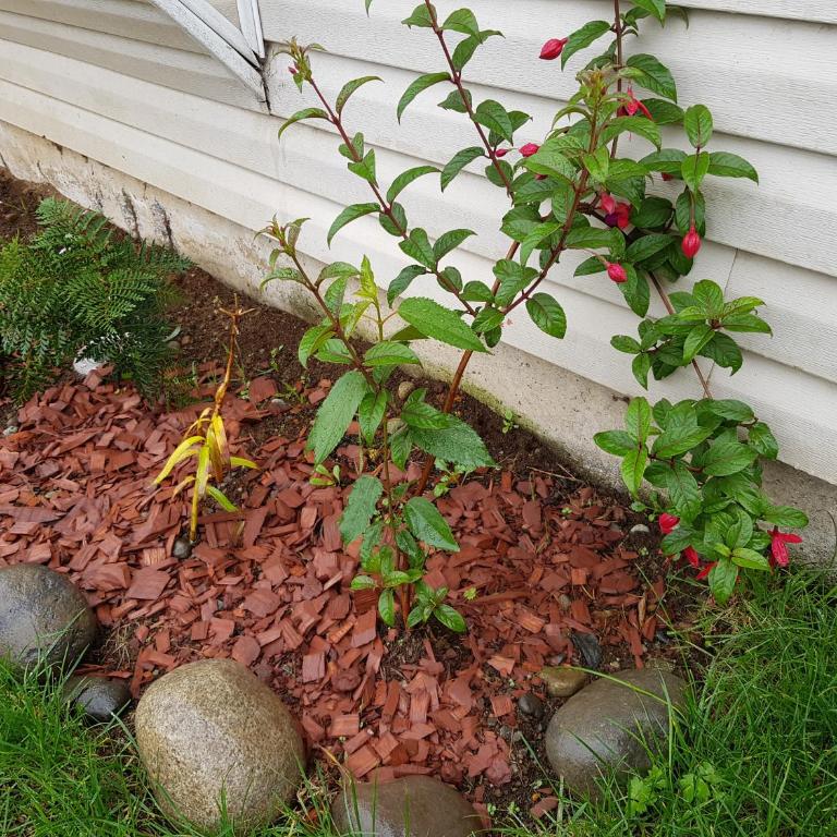 Cabaña El Lingue - Casa de 2 dormitorios - 78