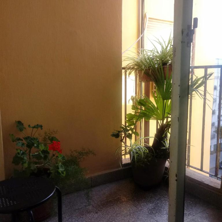 Calido en Parque Lezama - Apartamento de 1 dormitorio - 28