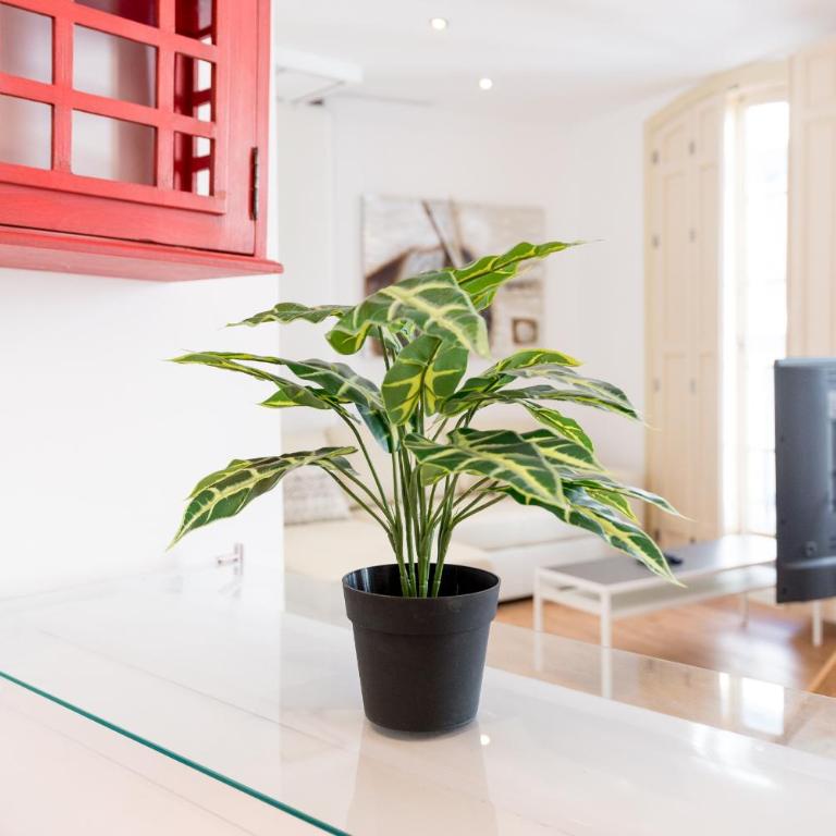 Urbe10 Plaza de la Constitucion 1 Bedroom Apartment - Deluxe Apartment - 24