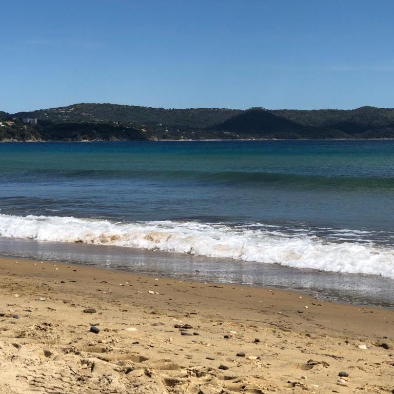 Au bord de la mer - Apartamento de 1 dormitorio - 24