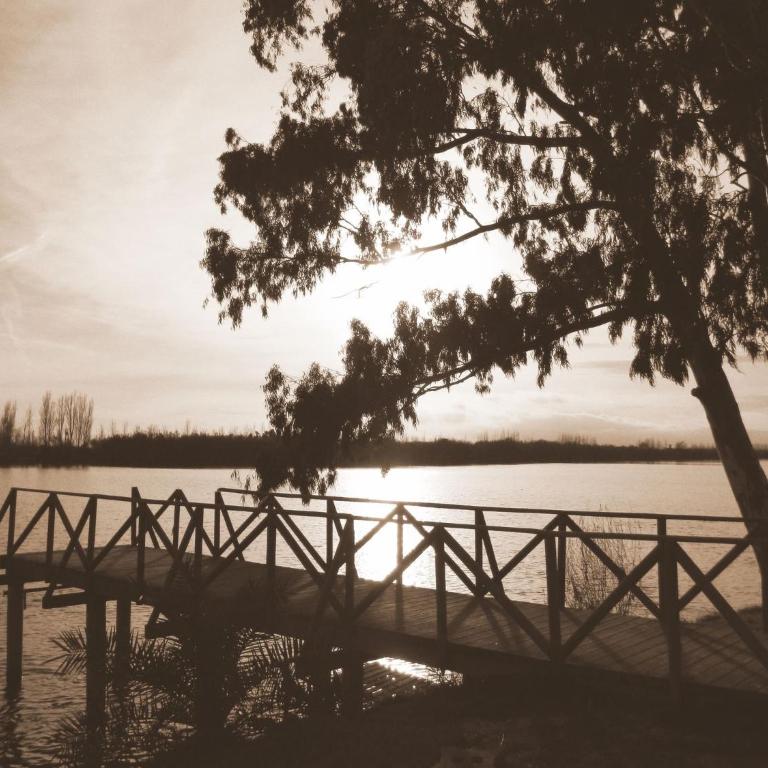 Lo Rall - Apartment - 12