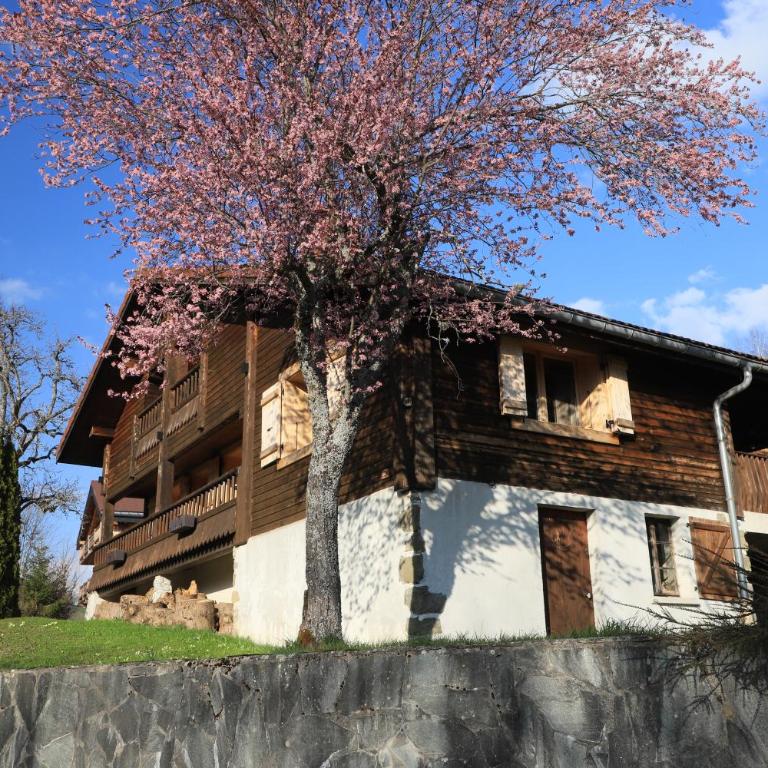 Sous les Ecotagnes - Chalet Supérieur - 12
