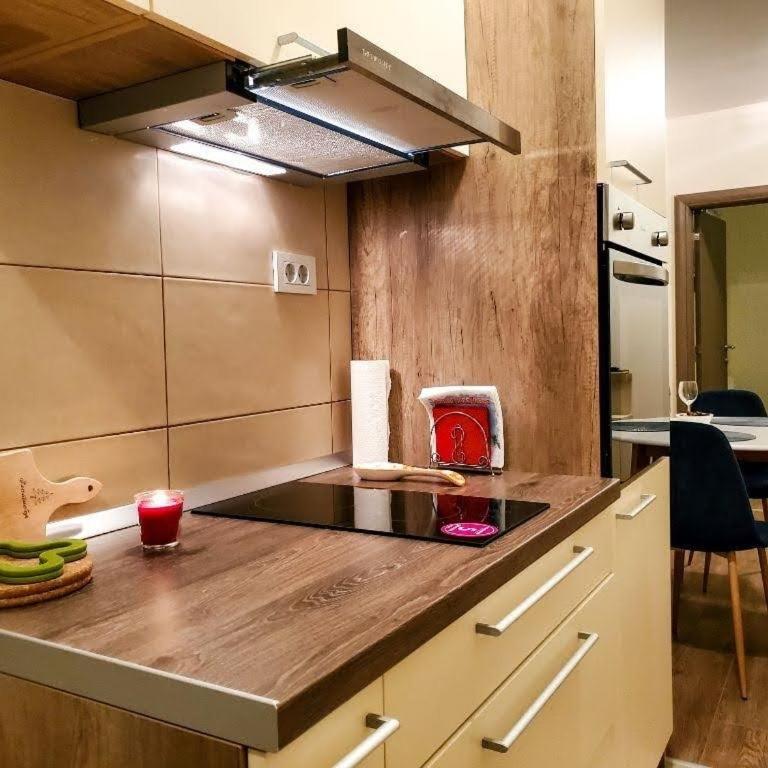 Vila Srna apartman Vekic Zlatibor - One-Bedroom Apartment - 8