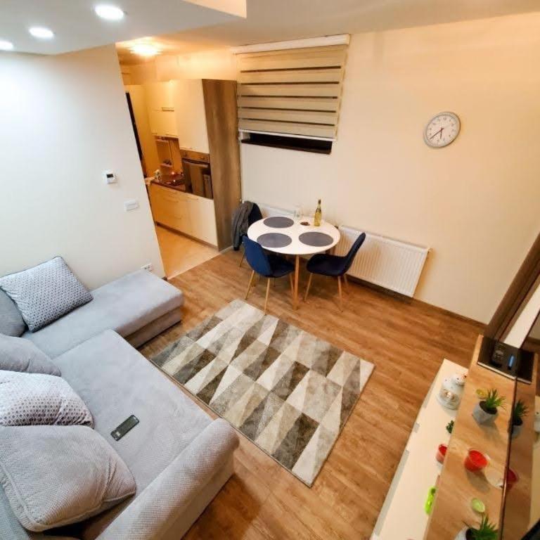 Vila Srna apartman Vekic Zlatibor - One-Bedroom Apartment - 5