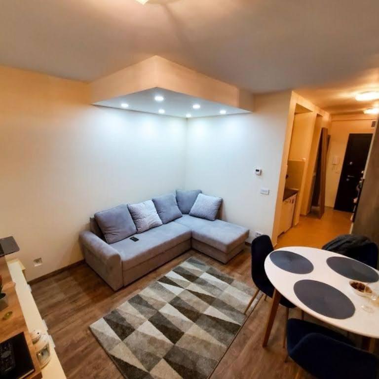 Vila Srna apartman Vekic Zlatibor - One-Bedroom Apartment - 4