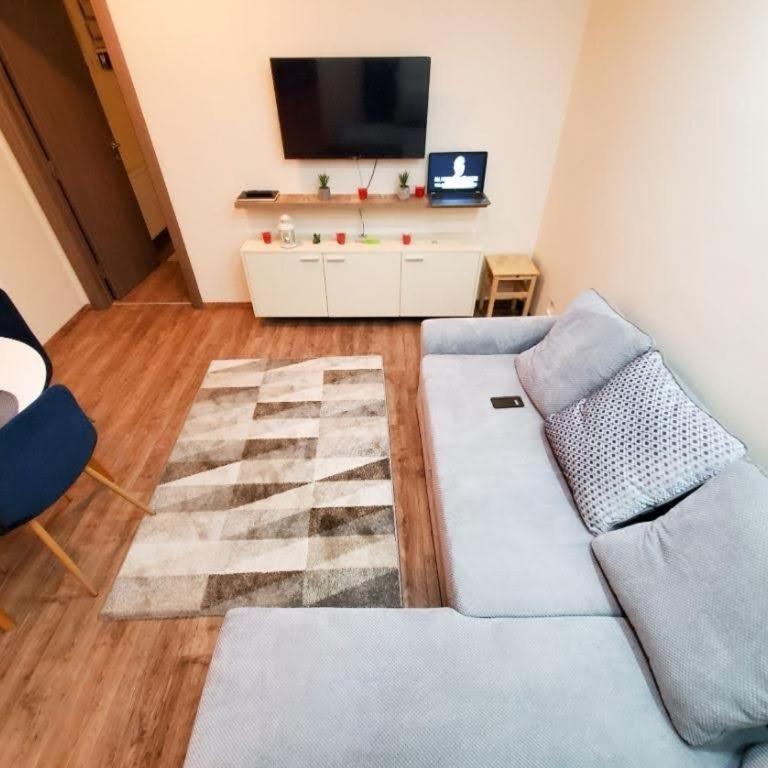 Vila Srna apartman Vekic Zlatibor - One-Bedroom Apartment - 11