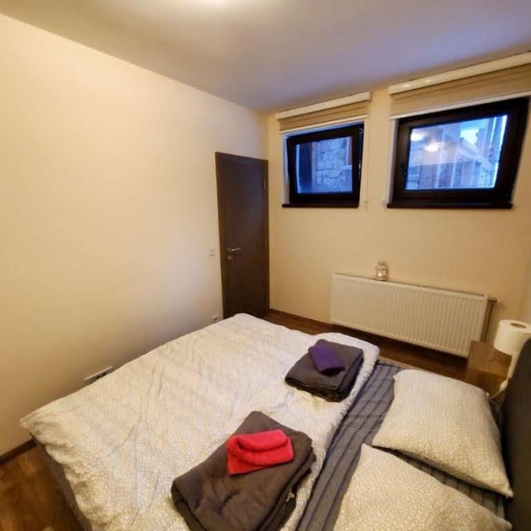 Vila Srna apartman Vekic Zlatibor - One-Bedroom Apartment - 14
