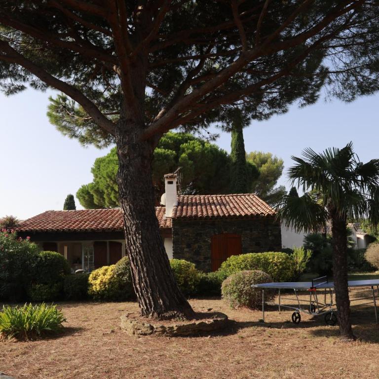 Maison sous les Pins - Maison 3 Chambres - 46