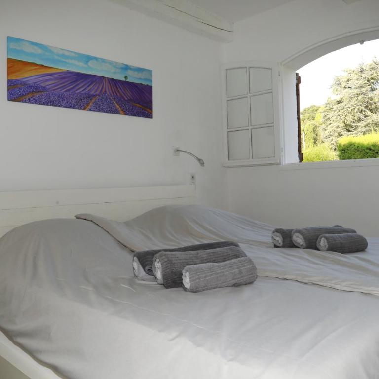 Maison sous les Pins - Maison 3 Chambres - 18