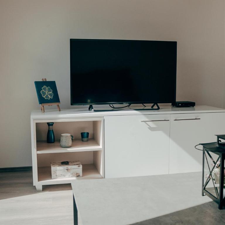 Villa Hodžić - One-Bedroom Apartment - 16
